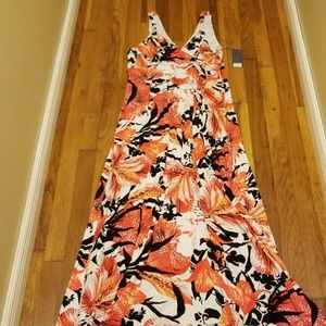 Jennifer Lopez Maxi Dress